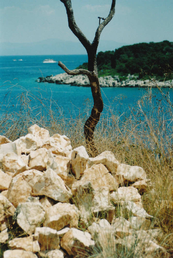 solitudine di paxos