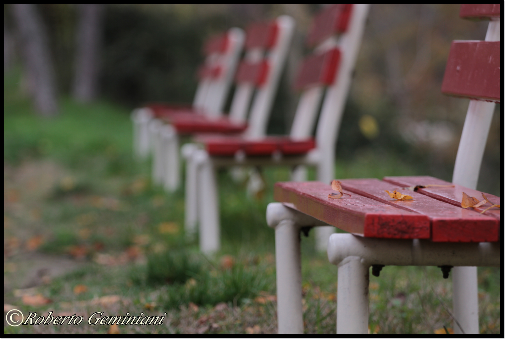 Solitudine di stagione