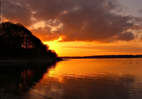 Solitüde in Flensburg