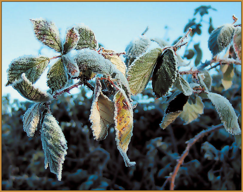 soll ja nochmal winter werden...