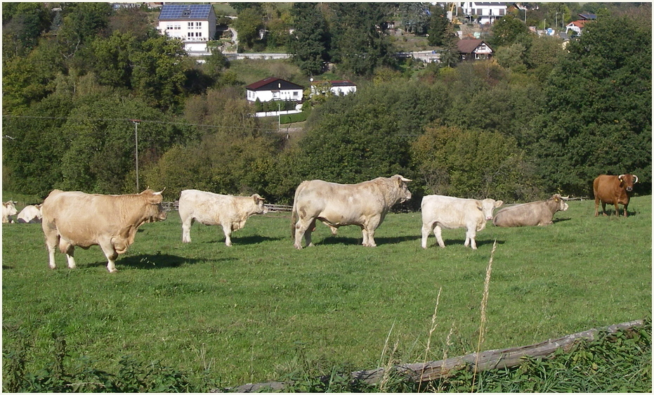 Soll keiner glauben er könne hier aus der Reihe tanzen