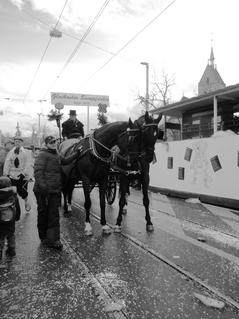 sollen Pferde an die Fasnacht?