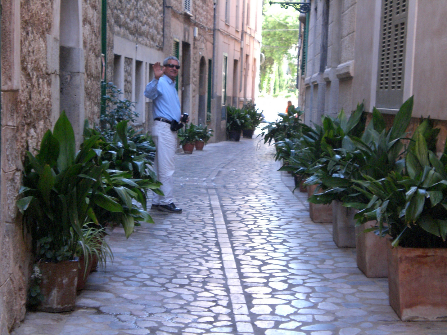 soller