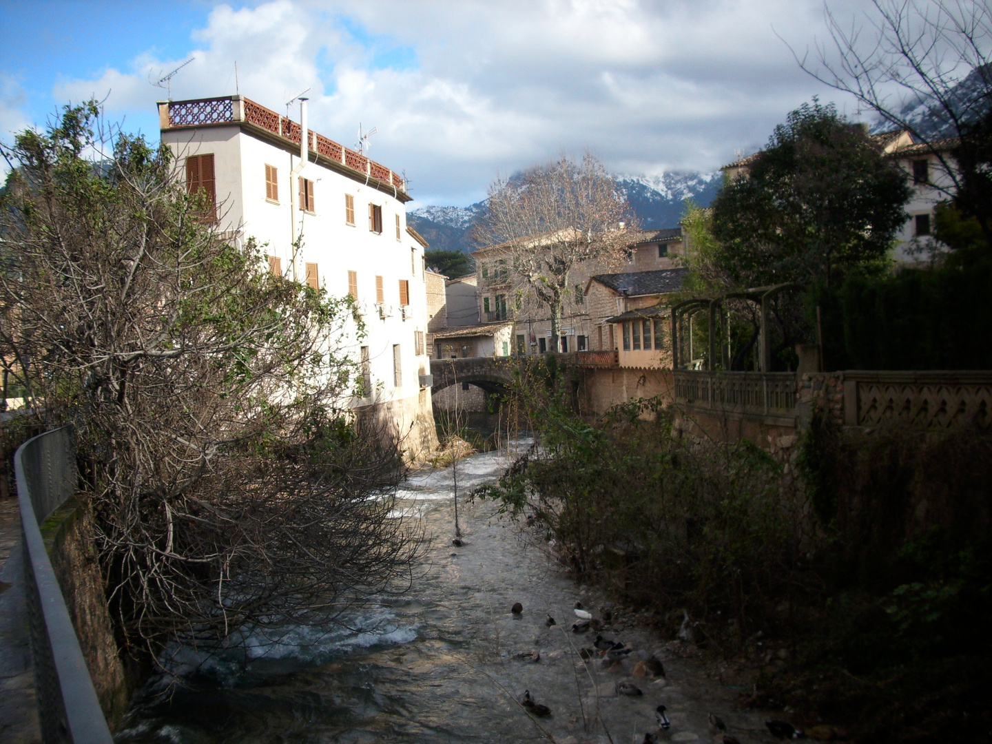 Soller