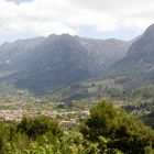 Soller