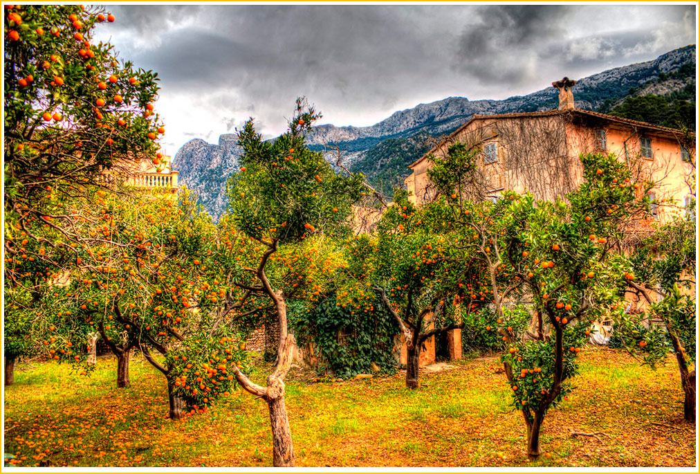 Soller im Dezember**