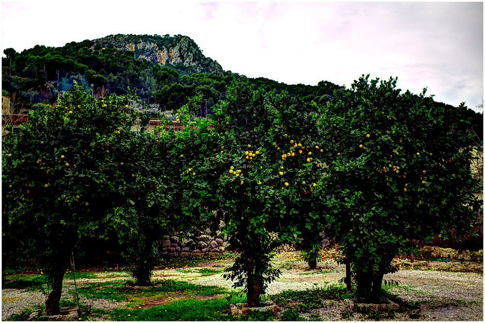 Sóller im Dezember**