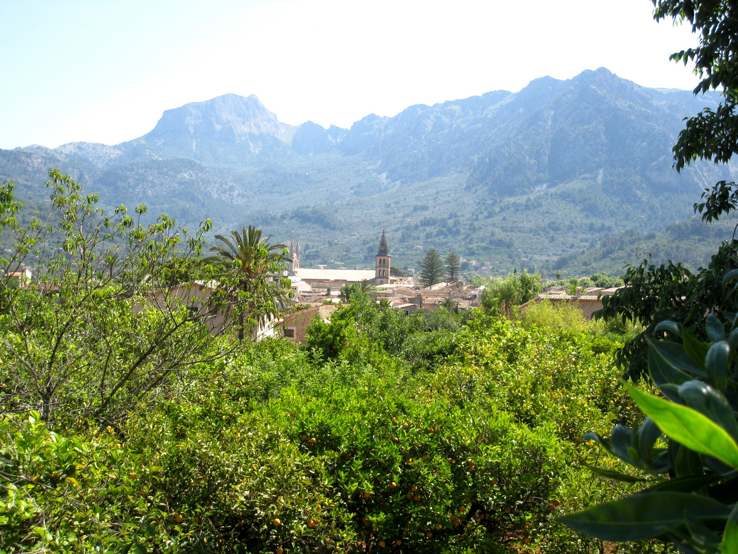 Soller im Tal der Orangen