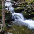 Sollerbach im Herbst