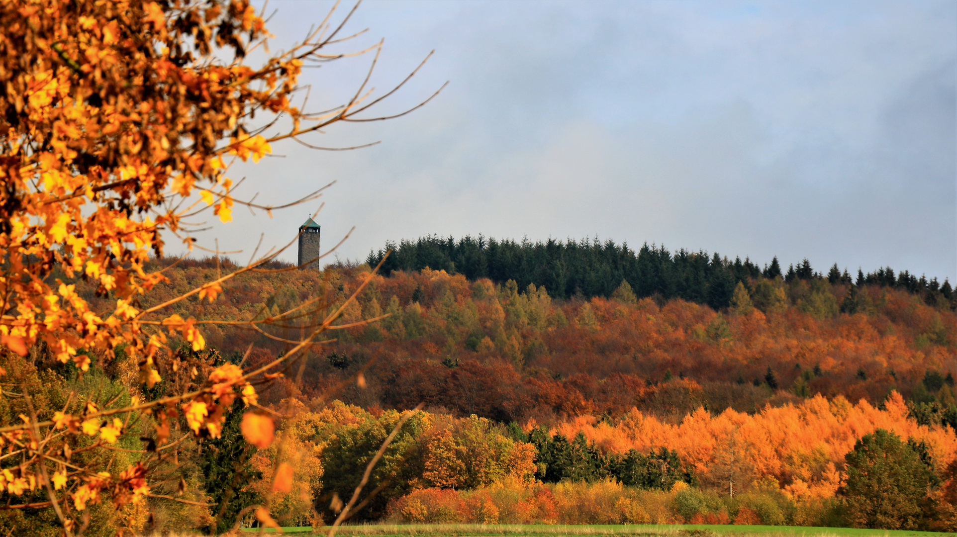 Solling Landschaft