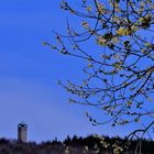 Sollingturm 