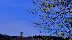 Sollingturm 