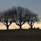 Sollte Frühling sein