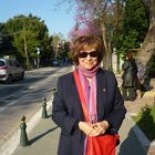 User Profile Photo