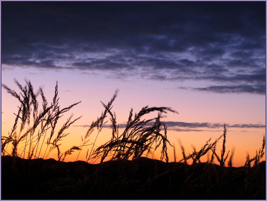 solnedgang