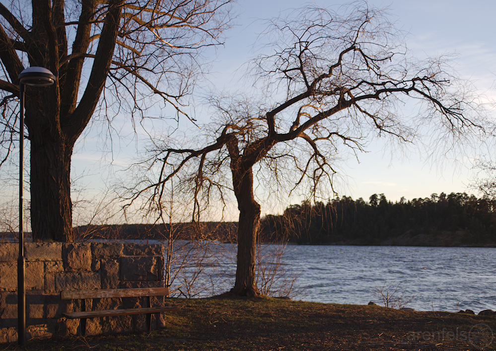 Solnedgang vid Mälaren #5779