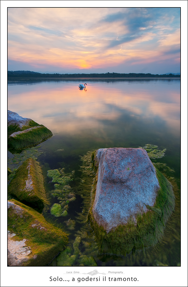 Solo..., a godersi il tramonto