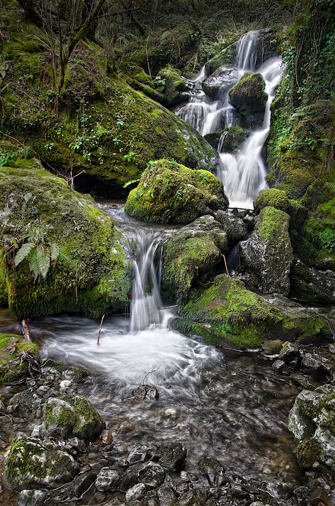 Solo Agua  II