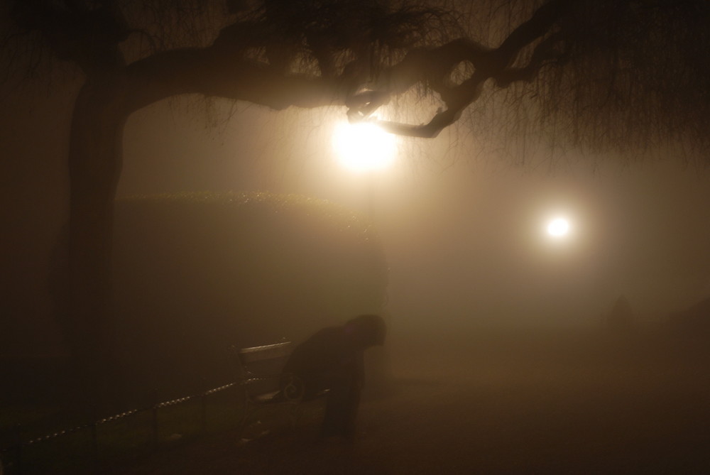 solo al parco in una notte di nebbia....