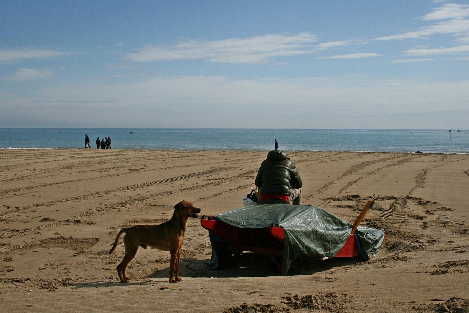 solo come un cane