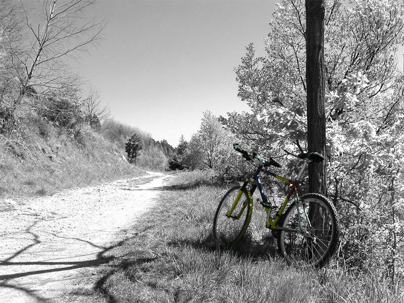 Solo con la bici..