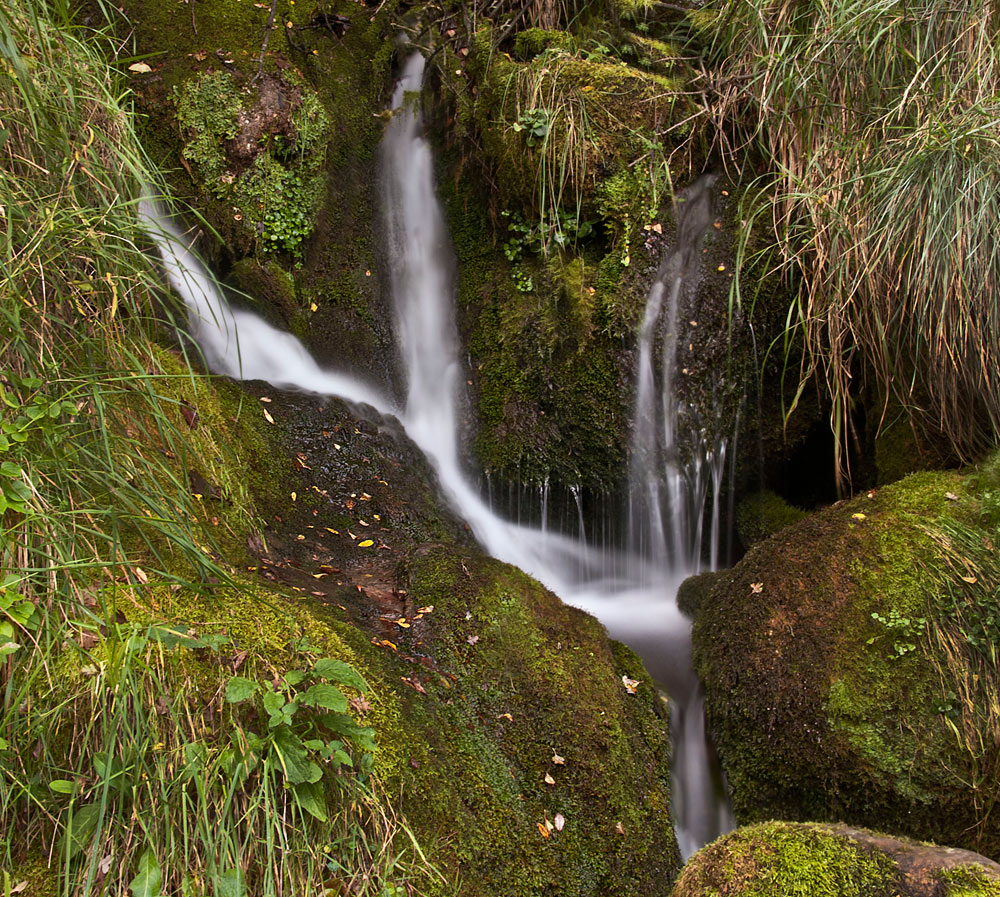 Solo el susurro del Agua