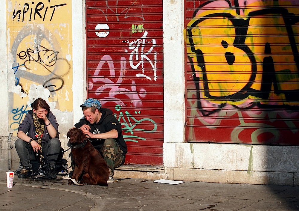 Solo il cane e serio