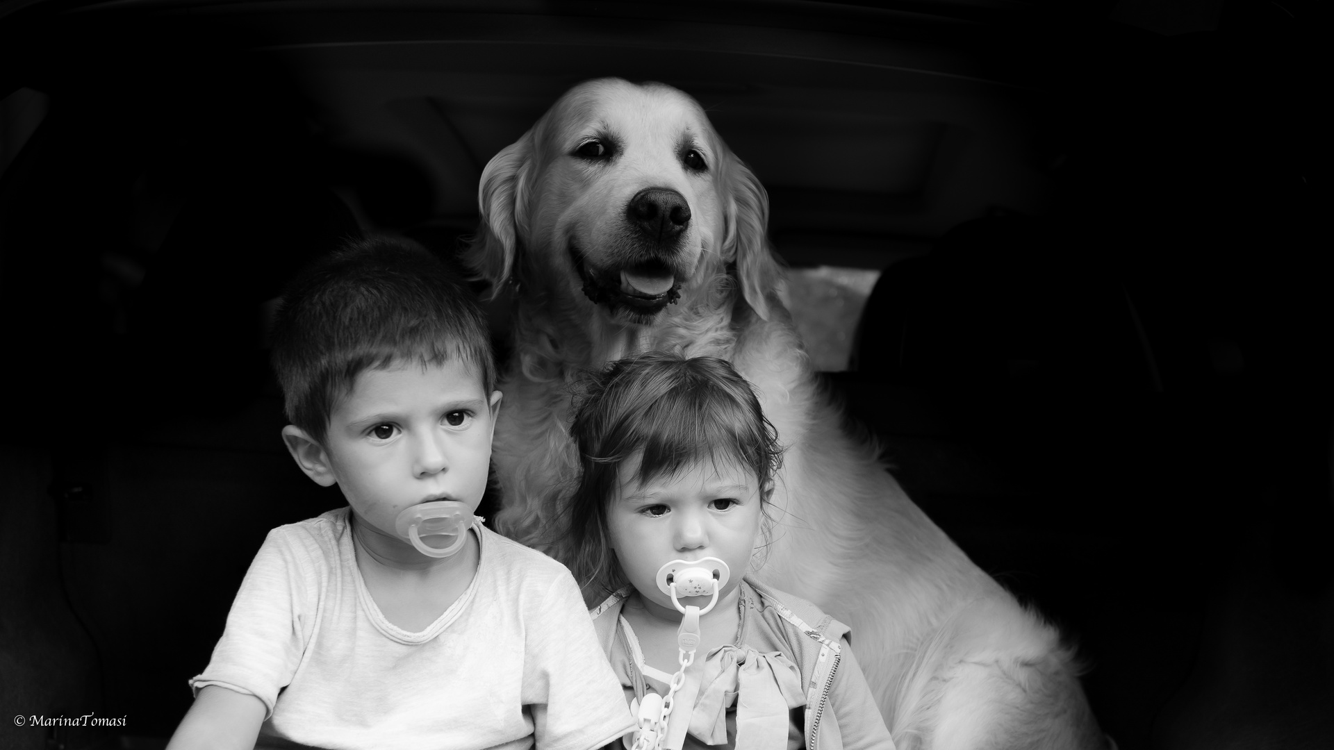 Solo il cane mi ha guardato