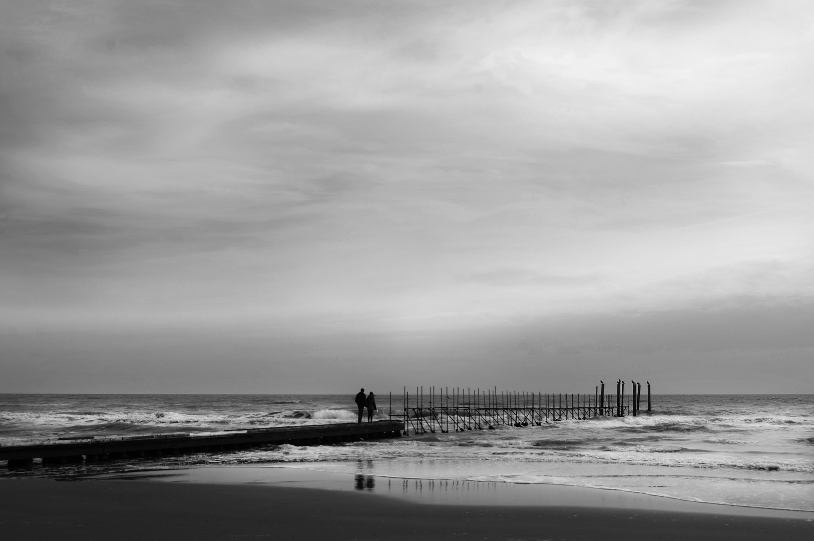 Solo la musica è all’altezza del mare.