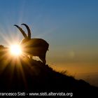 Solo lassù... (Valle Pò, Provincia di Cuneo, Tour del Monviso)