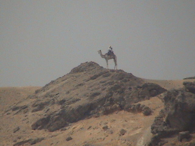 Solo nel deserto