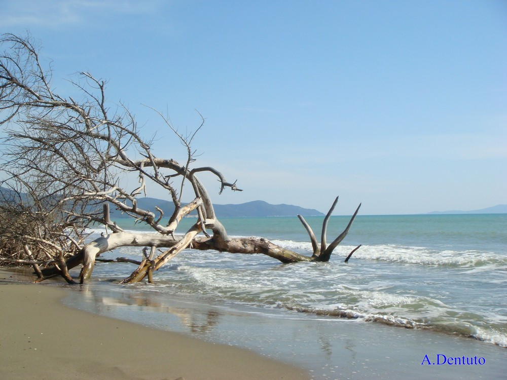 solo noi e il mare!