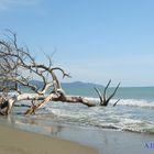 solo noi e il mare!