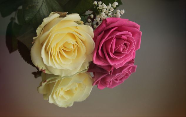 ...solo son rosas...