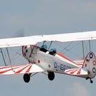 Solo-Stampe