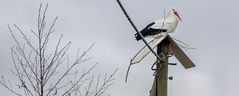 SOLO-Storch bei der Grund-STOCK-legung 