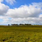 Solo terra e cielo - Yellostone National Park