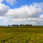 Solo terra e cielo - Yellostone National Park