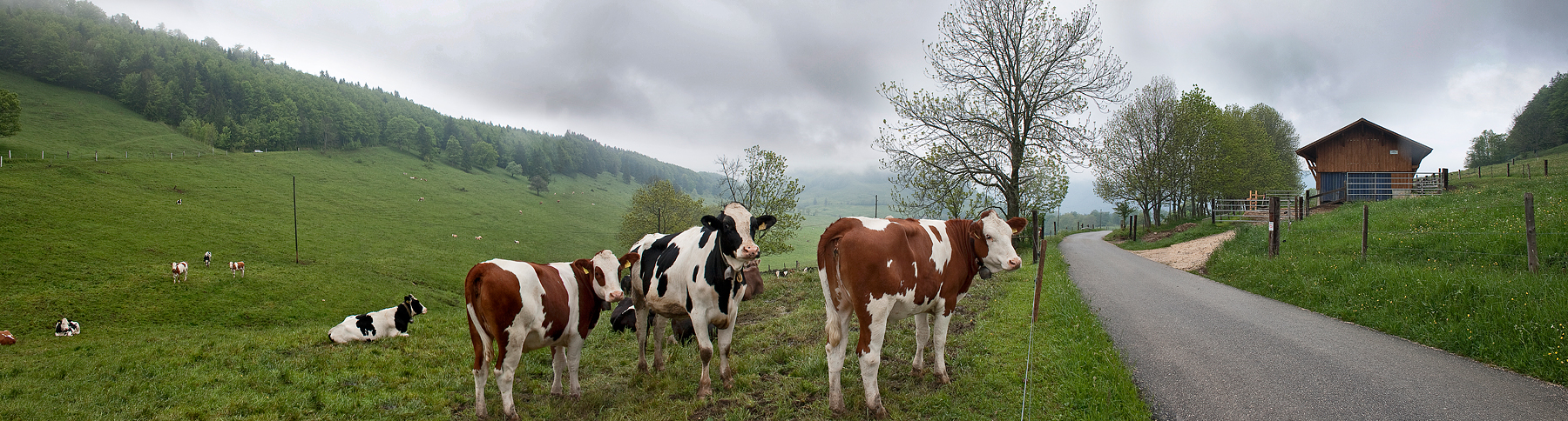 Solothurner Jura