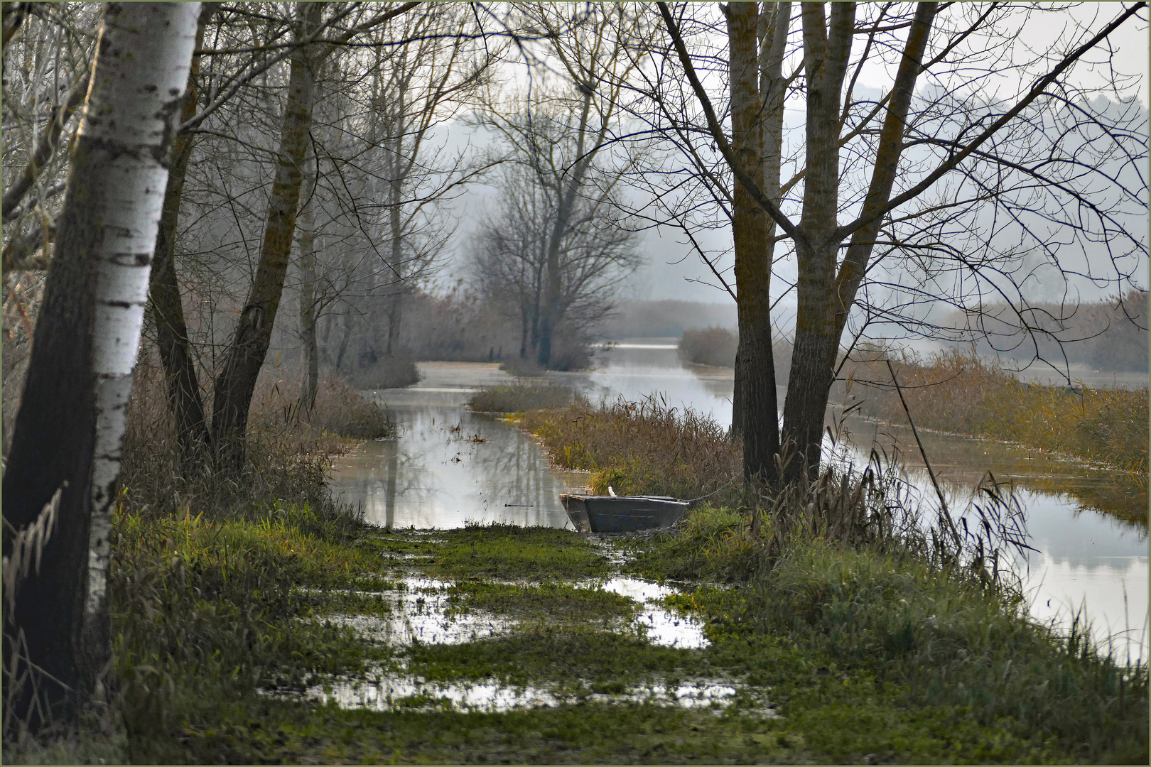 solstice d hiver au marais ....