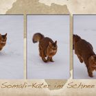 Somali im Schnee