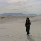 "sombra en el desierto de las arenas blancas" (white sands)