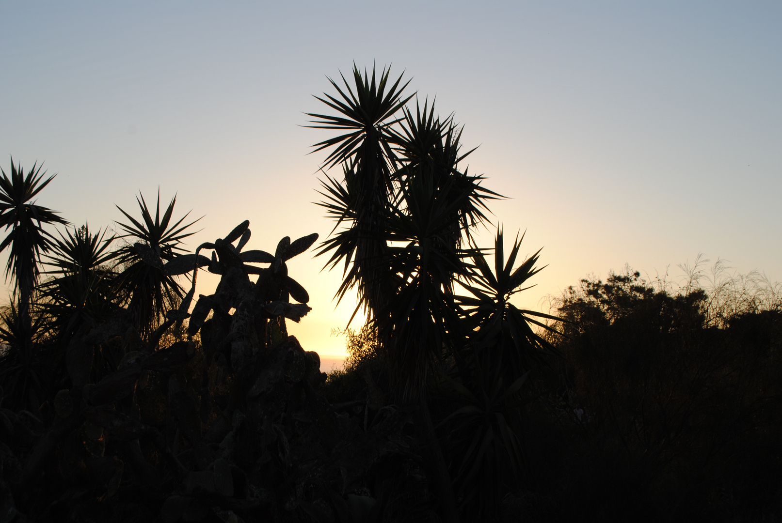 sombras