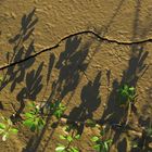 Sombras