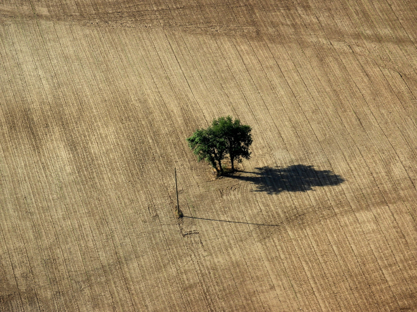 SoMBRaS