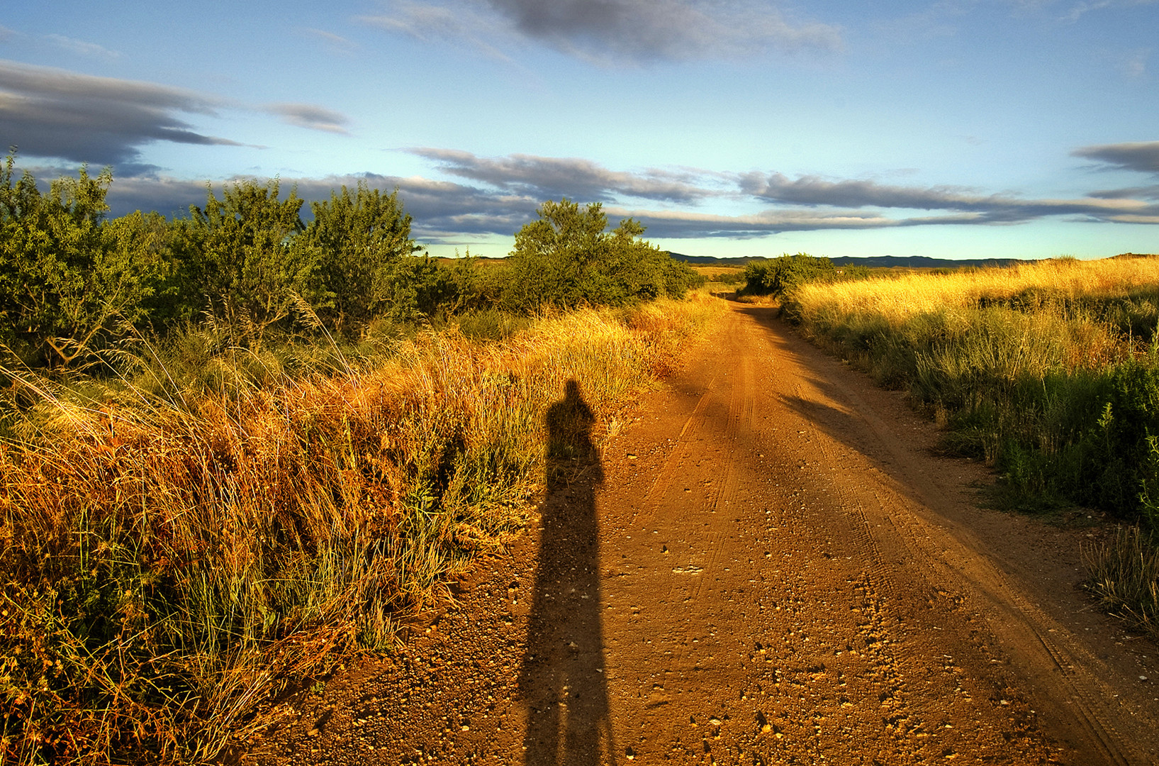 SOMBRAS EN EL CAMINO.