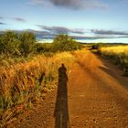 SOMBRAS EN EL CAMINO.