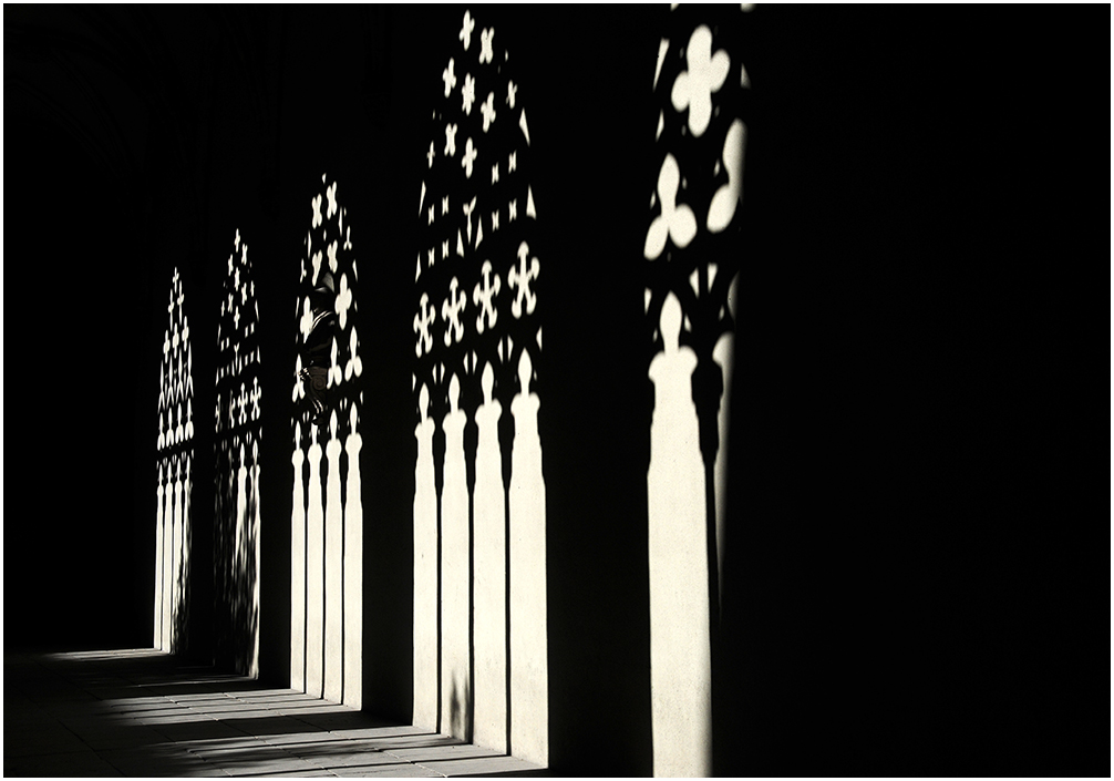 Sombras en el claustro