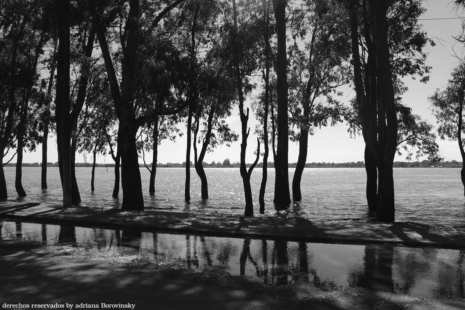 sombras y reflejos