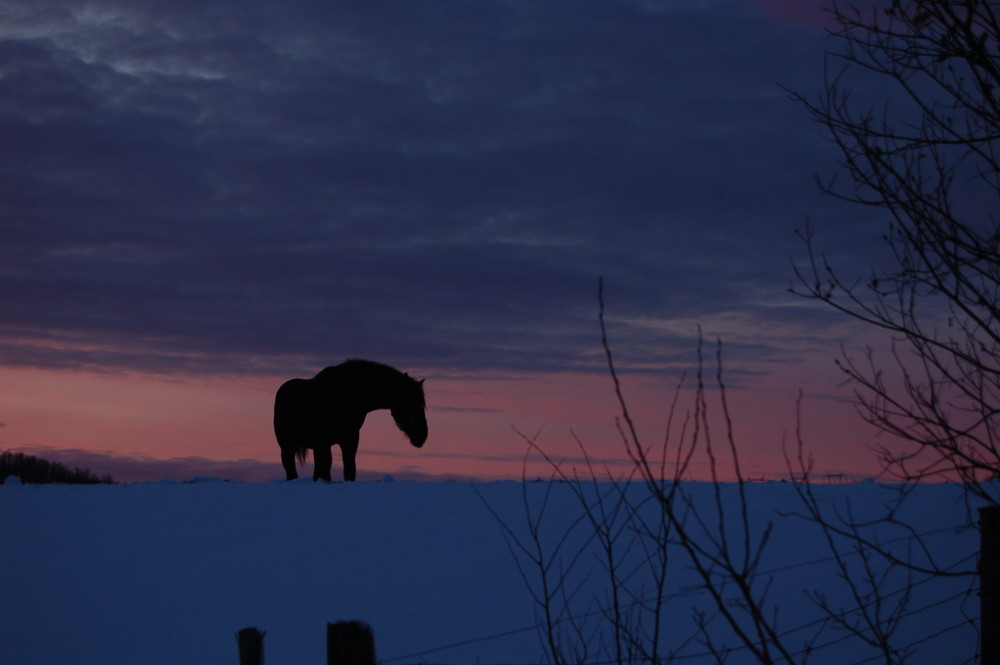 Sombre silhouette